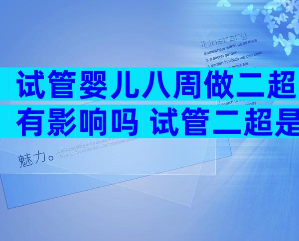 试管婴儿八周做二超有影响吗 试管二超是孕几周主要查什么